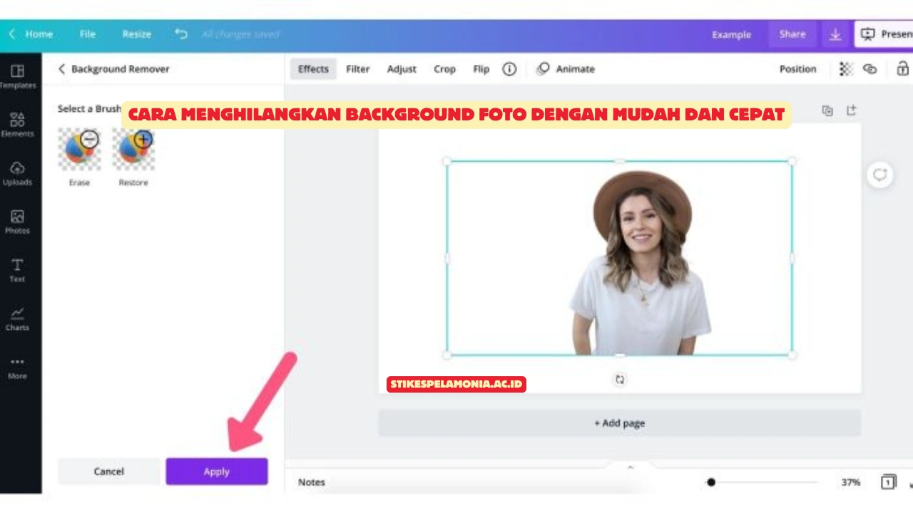 Cara Menghilangkan Background Foto dengan Mudah dan Cepat